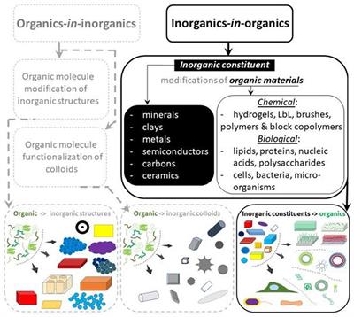 Hierarchy of Hybrid Materials—The Place of Inorganics-in-Organics in it, Their Composition and Applications